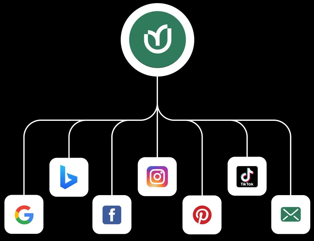 Digital Marketing Service - Rankupper Hero Image